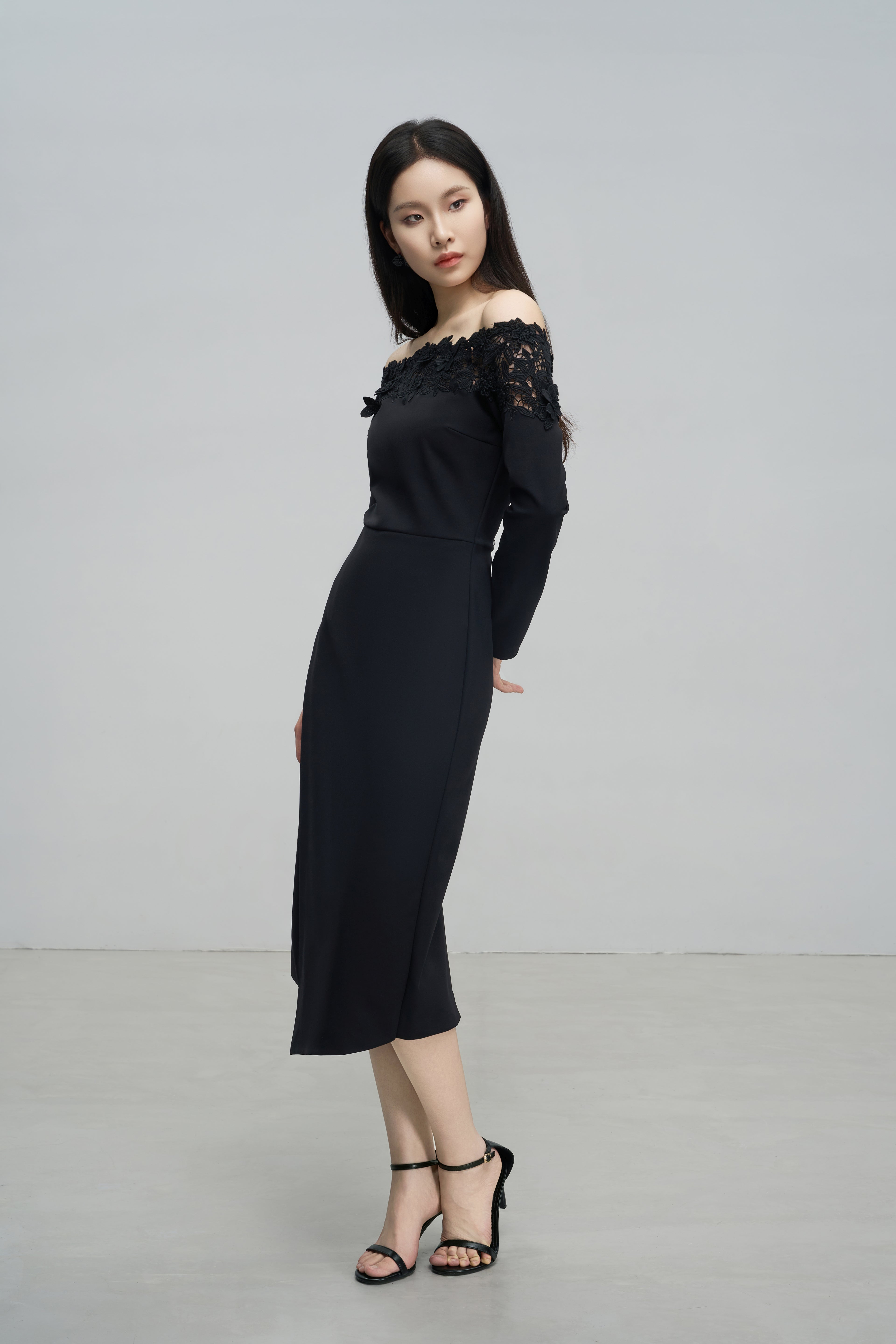Off-the-Shoulder Lace Embroidered Dress